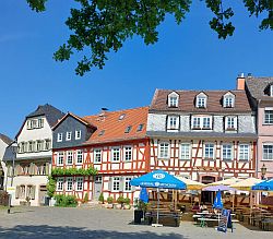 hoechst 2